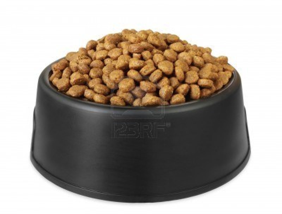 Dry dog food 